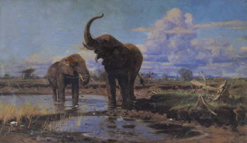 unknow artist Elephant Norge oil painting art